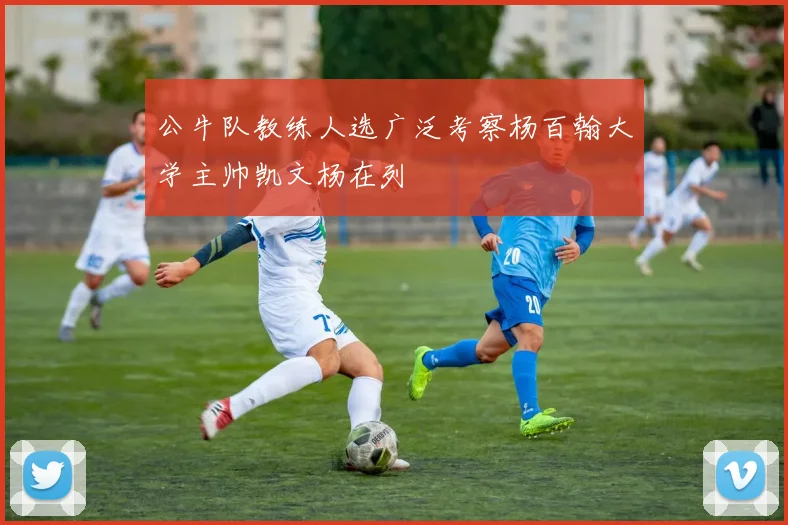 公牛队教练人选广泛考察杨百翰大学主帅凯文杨在列