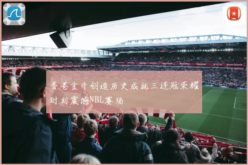 香港金牛创造历史成就三连冠荣耀时刻震撼NBL赛场